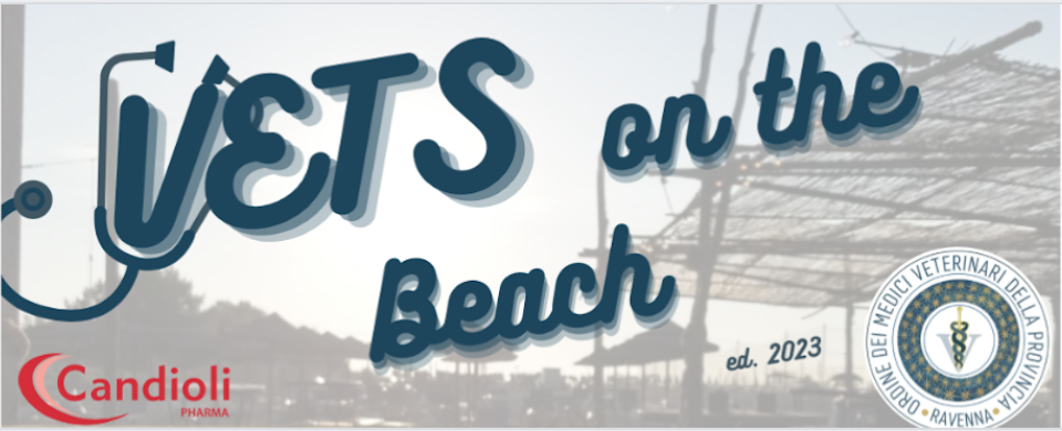 NUOVA DATA per il   Vets on the Beach – 2023
